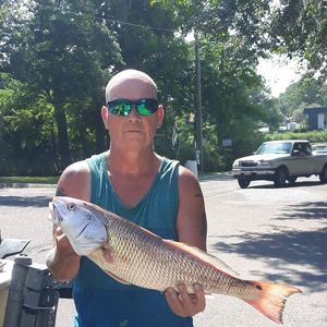 Meet your Posher, Billy